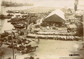 Málaga, muelle en el Puerto con el "tinglado", repleto de mercancías, carruajes y gentes. E. Gálvez.
