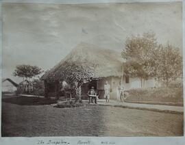 Karanti, Bungalows lado norte. Westfield.