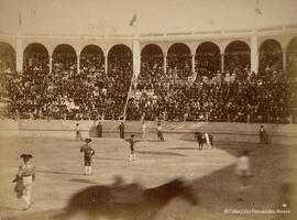 Algeciras (Cádiz), plaza de toros durante una corrida, banderillas . Fotógrafo desconocido.