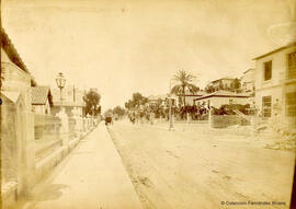 Málaga, Paseo de Reding con un carruaje. Fotógrafo desconocido