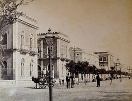 Córdoba, Paseo del Gran Capitan. Fotógrafo desconocido.