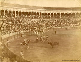 Sevilla, Plaza de toros de la Maestranza durante una corrida, suerte de varas. Léon et Lévy.