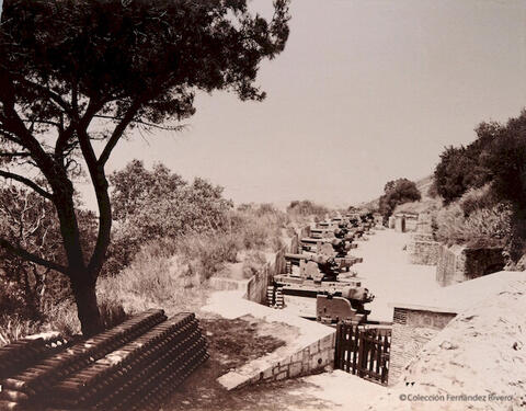 Open original Digital object