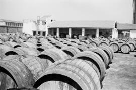 Industrias, barrio de Huelin. Playas de San Andrés. 1959, junio. Málaga, España.
