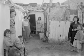 Viviendas. Haza de Varela. Diciembre de 1954. Málaga. España