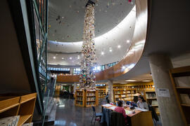 Biblioteca General con la instalación "Biblioteca de Babel XIII", de José Ignacio Díaz ...