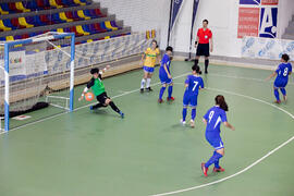Partido Brasil contra China Taipéi. 14º Campeonato del Mundo Universitario de Fútbol Sala 2014 (FUTSAL). Antequera. Julio de 2014