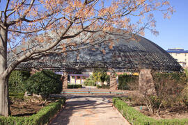 Jardín Botánico. Campus de Teatinos. Marzo de 2012