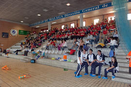 Taller de Intervención en el Medio Acuático. 3º Congreso Internacional de Actividad Físico-Deportiva para Mayores de la Universidad de Málaga. Palacio de Ferias y Congresos de Málaga. Marzo de 2009